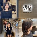 준오헤어 울산삼산점 : 머리기를때 하기 좋은 거지존 레이어드컷 후기(온리원 디자니어)