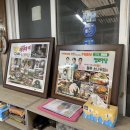 소나무그집