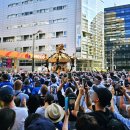 도쿄마츠리 | 일본 도쿄 마츠리 여행 후카가와 하치만 8월 축제