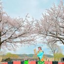 아야진1리해변 이미지
