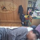 경추베개 추천 일자목 거북목에 좋은 발란스코드 실프베개 직접 사용해본 후기