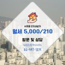 신성공인중개사사무소 이미지