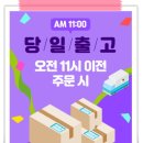일본직구꿀템 코이스루오시리 추천! 그리고 직구 후기
