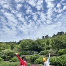 학동마을회관 | [거제여행]지세포진성 라벤더&검은흑진주 학동 몽돌해수욕장 여행정보 완벽정리 2026.6.25