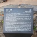 멋쪄브러 | 고창 여행 - 선운사 / 여유롭게 걷기 좋은 사찰 / 동백나무 관측 군락지