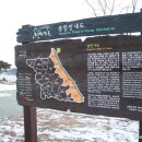 낭만가도 이미지