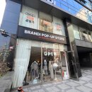 [산책해야지] 브랜디 팝업스토어 방문 후기