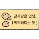 글로시라운지 이미지
