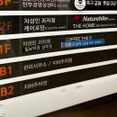 케어포 이미지
