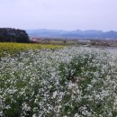 석호공원 화장실 이미지