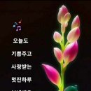 최호권 영등포구청장, 주민숙원 파크골프장 확충 위해 서울시 25개 자치구청장 공동 환경부 방문 적극 건의 이미지