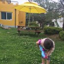 헤이리애 이미지