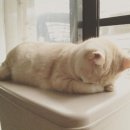 비엠휘트니스클럽 이미지