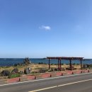 제주토끼 이미지