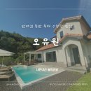 오유원 | 홍천 반려견 동반 독채 수영장 펜션 오유원 솔직 후기