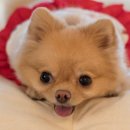 파비에스튜디오 이미지