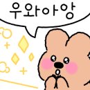 코끼리파파