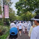 서강약국 | 2025-10-11 디즈니런 서울 2025 마라톤 10km 코스 참가 with 효선
