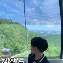 하슬라로 27 | 강릉 가볼만한 곳, 강원도 횡계에 있는 맛도리 놀거리