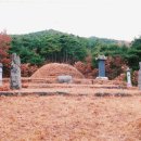 오자경 묘 Daum카페