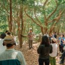 머체왓숲길영농조합법인 이미지