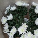 동양개발(주) | 충청 경남 경북 전남 / 석재공장 산소 이장 (주)에프엔에스 동양석재개발