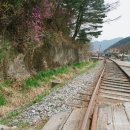 자개골흙집 이미지