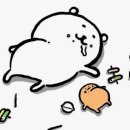 비전5로 | 평택 소사벌 맛집 돼지띠 구워주는 고기집 이베리코 꽃목살 한돈 숙성삼겹살 추천