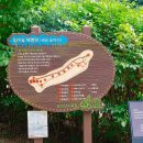 삼선산 수목원 이미지