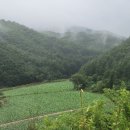 농업회사법인풀로만주식회사 이미지