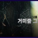 그루밍 영 이미지