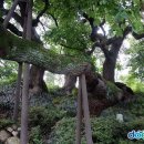 동읍661 이미지