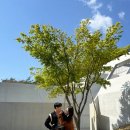 타냐 | 경주 풀빌라펜션 빌라데몬타냐 VILLA C 빌라 C 후기 : 인피니티 풀, 개별 자쿠지