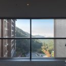 포레스트403 이미지