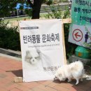 산호동물병원 이미지