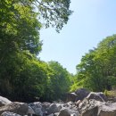 한라산농장 이미지