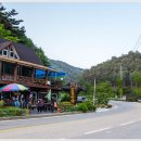 진동산채민박 이미지