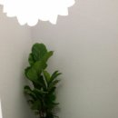 신영컴퍼니 이미지