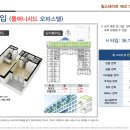 에코라인 이미지