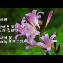 엄상익 변호사 에세이 겔러리 - 나는 모자라고 못났습니다 이미지