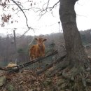 강화버스터미널 이미지