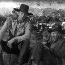 자명목장 이미지