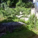 송정리 고인돌 이미지