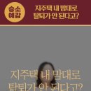 지주택티브이