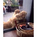 얘들아 여기야 Daum카페