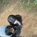 표선관정로 | [여행] 2월 친구랑 제주여행🍊