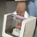 위윈트