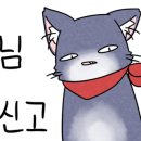 고래고래코인노래연습장 이미지