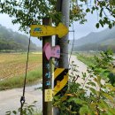 용담면사무소 이미지