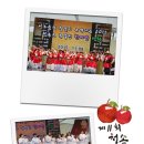 라온섹소폰스토리 | 제11회청송사과축제 후기